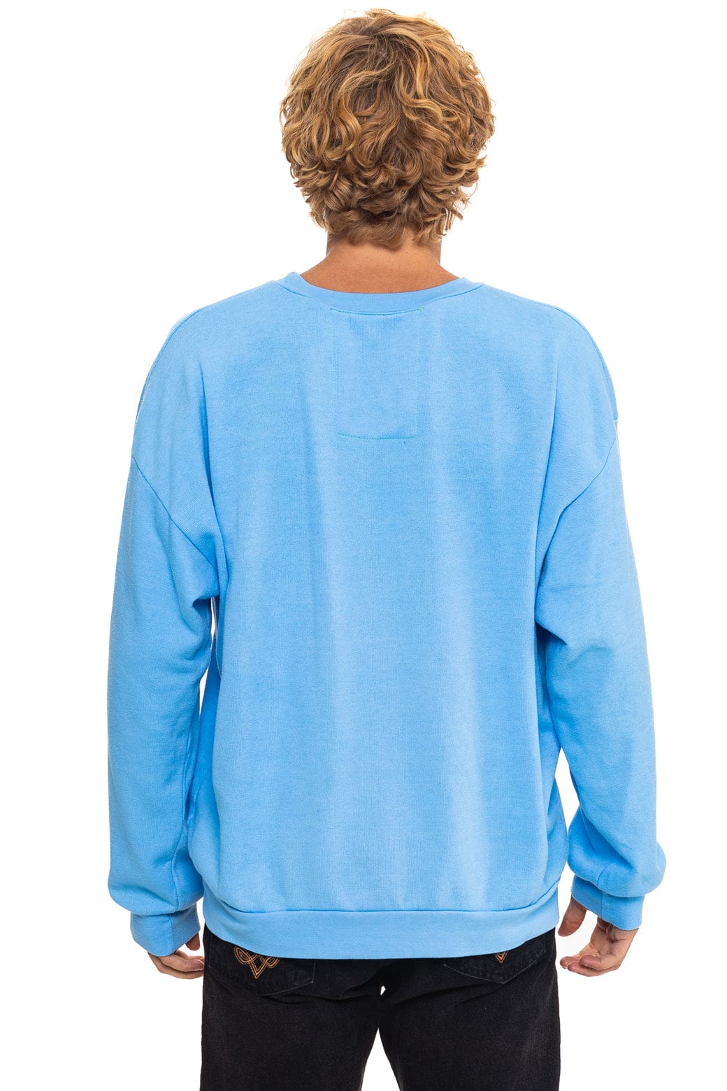 16525-all-seasons-circle-relaxed-crew-sweatshirt-sky-8.jpg ALL SEASONS CIRCLE RELAXED CREW SWEATSHIRT - SKY